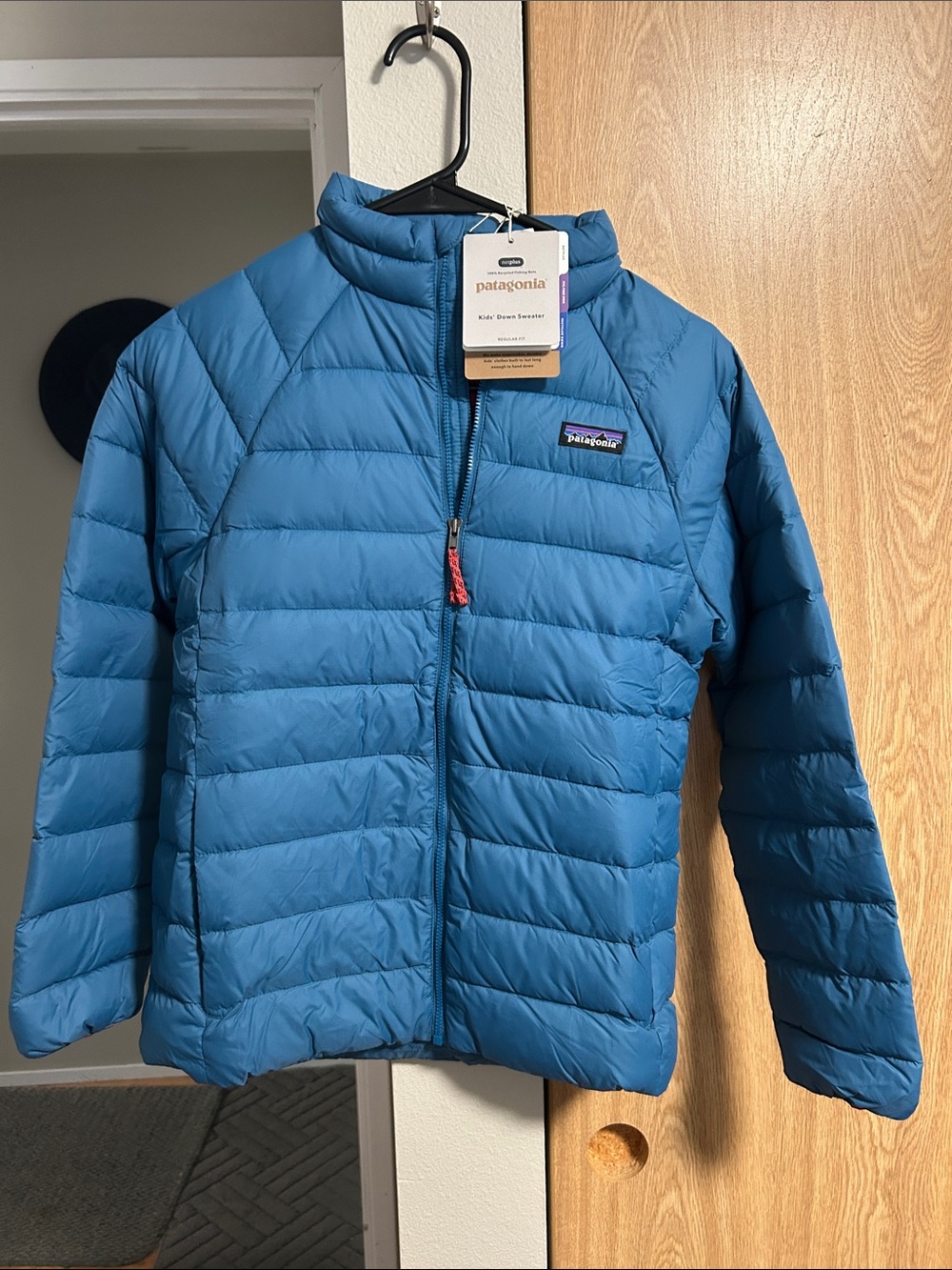 Patagonia Kids Teal Blue Puffer Jacket
